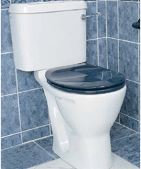 Comfort Height Toilet Modern